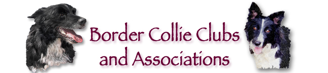 Border Collie Clubs and Associations Heading