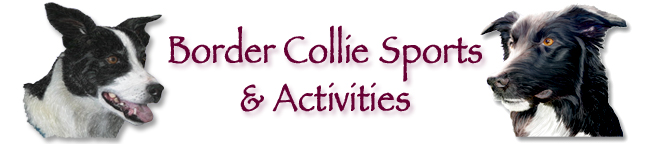 Border Collie Sports and Activities Heading