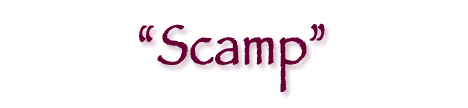 scamp-red-heading.jpg