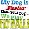 My Dog is Faster Than Your Dog... We Play Flyball!